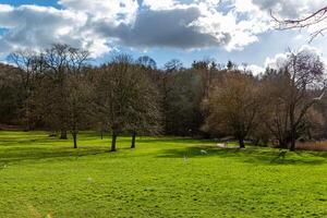 Serene park landscape with lush green grass and leafless trees under a cloudy blue sky. photo