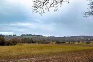 Serene countryside landscape with overcast sky, bare tree branches, and rolling hills in the distance. photo