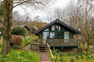 Cozy wooden cabin with green trim, surrounded by lush garden and spring flowers, featuring a welcoming deck and tranquil setting. photo