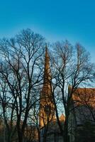 Bare trees silhouette against a twilight sky with a Gothic church spire in the background in Lancaster. photo