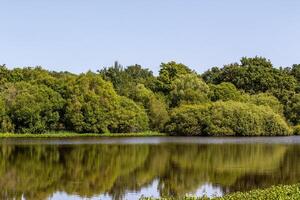 a large body of water photo