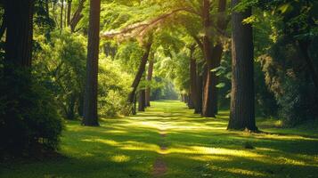 AI generated A green forest park offers enchanting scenery, nature's haven with tranquil beauty, Ai Generated. photo