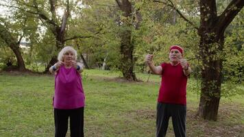 Senior active couple doing sport physical exercises outdoor in city park. Morning stretching workout video