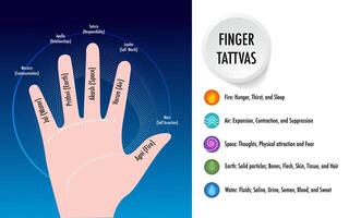 infographic 5 Tattvas Explored The Five Elements vector