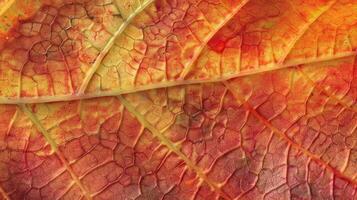 AI generated Close-up of an autumn leaf's intricate texture, showcasing vibrant hues. Ai Generated photo