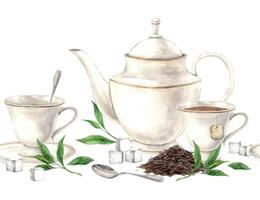 Watercolor seamless composition of teapot with loose tea and green leaves, mugs and spoons The illustration is hand drawn on an isolated background Drawing for menu design packaging textiles websites vector