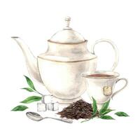 Watercolor composition of a teapot with loose tea and green leaves, mugs and spoons. The illustration is hand drawn on an isolated background Drawing for menu design, packaging, poster website textile vector