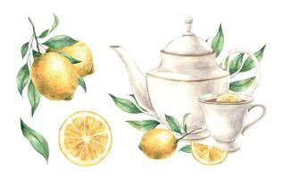 Watercolor set with ceramic dishes and drawings of a juicy yellow lemon. Illustration is hand drawn, suitable for menu design, packaging, poster, website, textile, invitation, brochure, cards vector