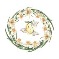 Watercolor Easter round frame of daffodils and egg with butterflies. The illustration is hand drawn on an isolated background. Drawing for greeting cards, invitations, posters, book illustrations vector