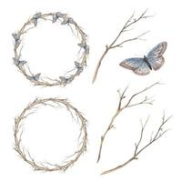 Watercolor set of spring branches and butterflies. The illustration is hand drawn on an isolated background. Drawing for greeting cards, invitations, posters, book illustrations, fabric, design vector