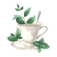 Vintage watercolor cup with saucer and silver spoon, with spicy mint around it. The illustration is hand drawn on an isolated background. Drawing for menu design, packaging, poster, website, textile vector