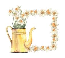 Watercolor square frame of daffodils and composition with watering can and flowers. Sketch on isolated background for greeting cards, invitations, banners, posters, textiles, design, print, cover vector