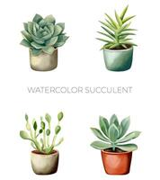 Set of watercolor succulent plants in pot. Watercolor mexican plants. Fower pot isolated on white. vector