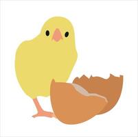 egg and yellow cute chick vector