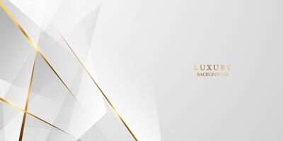 white luxury abstract background with vector illustration