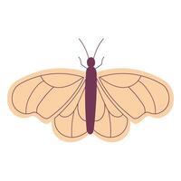 insect butterfly that flies outside garden icon vector