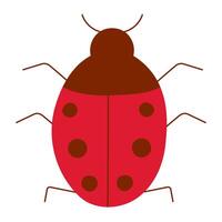 colored insect ladybug. Icon, element, object . vector
