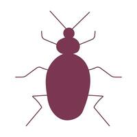 Insect Garden beetle with mustache and legs vector