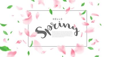 spring banner template cherry blossom vector illustration design