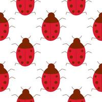color insect ladybird ladybug. Pattern, textile . vector