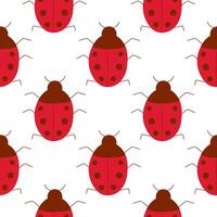 color insect ladybird ladybug. Pattern, textile . vector