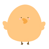 Baby Chick Cartoon illustration png