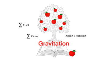 The gravitational force of the earth animation, Gravity, falling apple, Isaac newton idea universal law, fall red apple tree down. Step down stages, timeline. Weight and mass experiment, Inertia png