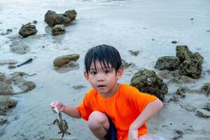 pequeño asiático chico capturas cangrejos en el mar playa foto