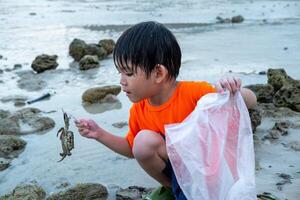 Little Asian boy catches crabs on the sea beach photo