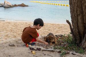 A little Asian boy plays with a puppy on the beach. photo