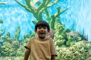 Asian boy standing pointing at aquarium background photo