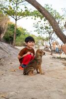 A little Asian boy plays with a puppy on the beach. photo