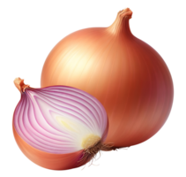 ai gerado cebola png cru cebola png vermelho cebola png fresco cebola png cebola transparente fundo