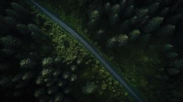 AI generated An aerial top view captures a winding mountain road, cutting through a lush dark green forest canopy. Ai Generated. photo