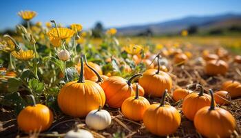 AI generated Autumn harvest fresh, organic pumpkin decoration brings celebration outdoors generated by AI photo