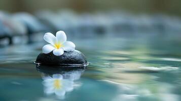 ai generado tranquilo bienestar diseño presentando un flor en un besado por el agua piedra, un sereno oasis de belleza. ai generado foto