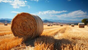 AI generated Harvesting wheat, nature beauty in a golden meadow generated by AI photo