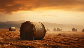 AI generated Golden haystacks roll across the meadow under a summer sunset generated by AI photo