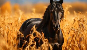 AI generated Thoroughbred horse running in meadow, autumn beauty in nature generated by AI photo