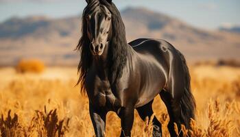 AI generated A beautiful stallion grazes in the meadow at sunset generated by AI photo