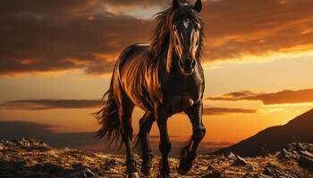 ai generado majestuoso semental galopa libremente en tranquilo prado a puesta de sol generado por ai foto