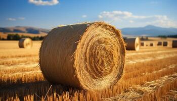 AI generated Agriculture beauty yellow wheat, rolled up haystacks, ripe grain generated by AI photo