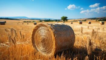 AI generated Rural farm landscape, golden meadow, rolled hay bales under sunset generated by AI photo