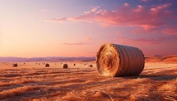 AI generated Sunset over rural farm, meadow of golden wheat, nature beauty generated by AI photo