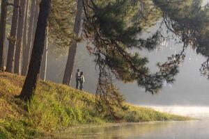 Back view of senior couple watching sunrise together in the pine forest after hiking for love, marriage and healthy long last relationship bonding and longevity photo