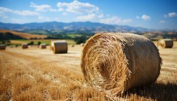 AI generated Agriculture beauty rural meadow, rolled up haystacks, golden wheat generated by AI photo