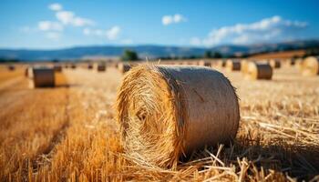 AI generated Rural scene rolled up haystacks in meadow, golden harvest generated by AI photo