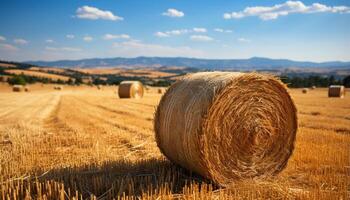 AI generated Agriculture beauty in nature yellow meadow, rolled up haystacks, blue sky generated by AI photo