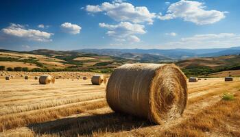 AI generated Agriculture beauty in nature meadow, haystack, wheat, and blue sky generated by AI photo