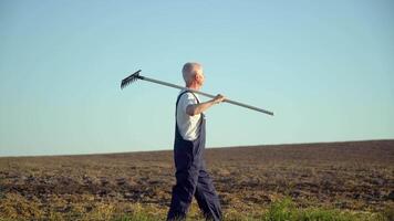 A senior farmer walks through a field with rake. Farming and agriculture concept video